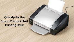 Quickly Fix The Epson Printer Is Not Printing Issue