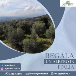 Regala un Albero in Italia
