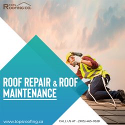 Roof Repair and Roof Maintenance