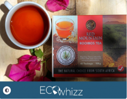 Pure Rooibos Tea South Africa – The Best Tea