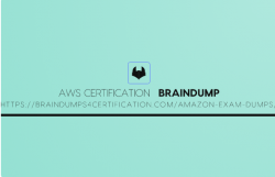 AWS Certification Dumps Questions for FREE
