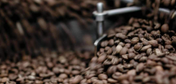Buy Freshly Roasted Coffee Beans Online in Bulk