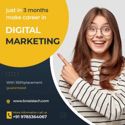 Best Digital Marketing Training Institute in Jaipur