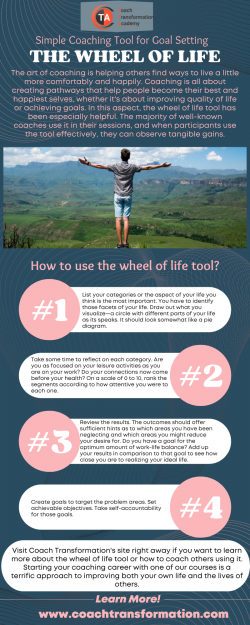 Simple Coaching Tool: The Wheel of Life – Coach Transformation Academy