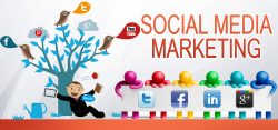 Best Social Media Marketing Dubai To Boost Your Brand