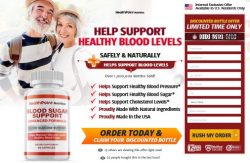 HealthPoint Nutrition Blood Sugar Support (Mind Blowing Result!)Healthy Cholesterol & Blood  ...