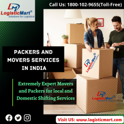 What do Packers and Movers in Baner for local shifting?