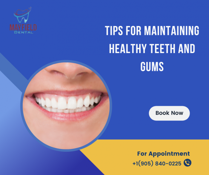 Tips for Maintaining Healthy Teeth and Gums