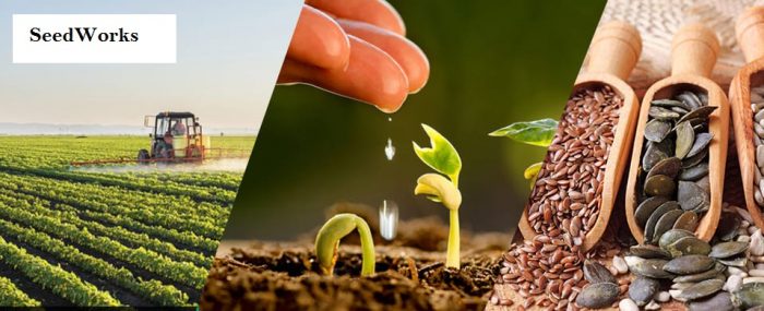 Vegetable Seeds Manufacturers in India | Seedworks.com