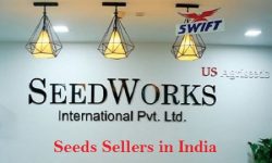 Seeds Sellers in India – Seedworks.com