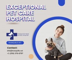 Road animal hospital with an expert team of veterinary professionals