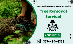Professional Tree Removal Services Company!