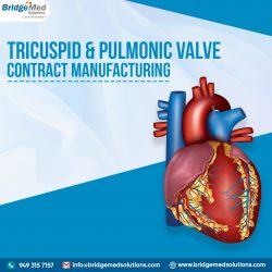 Tricuspid & Pulmonic Valve contract manufacturing