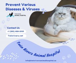 Are you looking for a Kamloops Small Animal Vet Clinic
