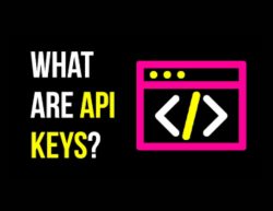 API Keys – What Is an API Key?