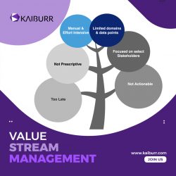 Deploy The Best Value Stream Management Application – Contact Kaiburr