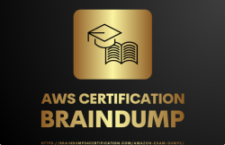 Free AWS-Certified-Developer-Associate Exam Dumps