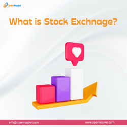 Why stock exchange is important in stock market?
