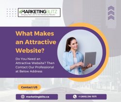 What Makes an Attractive Website?