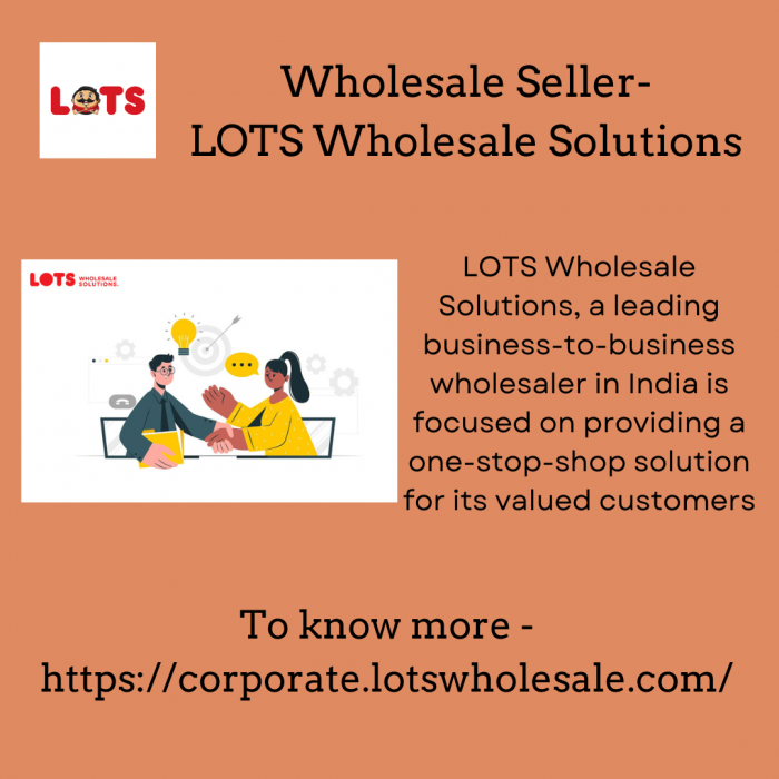 Wholesale Seller- LOTS Wholesale Solutions