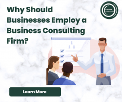 Why Should Businesses Employ a Business Consulting Firm?
