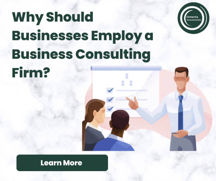 Why Should Businesses Employ a Business Consulting Firm?