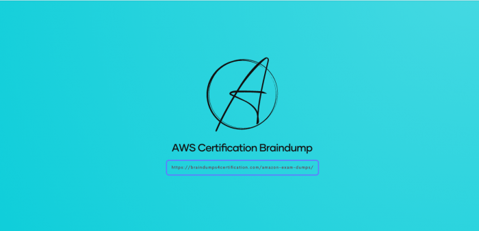The Best AWS Certification Braindump Reviewed
