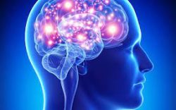 Alpha Wake formula |#EXCITING NEWS|: Alpha Wake Stimulate Brain Plastiticity For Ultimate Brain  ...