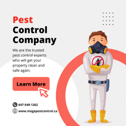 Bed Bug Control Mississauga