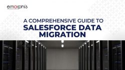 A Comprehensive Guide to Salesforce Data Migration