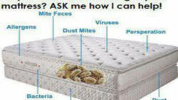 Mattress cleaning can save your life!