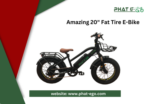Amazing 20″ Fat Tire E-Bike | the Grom
