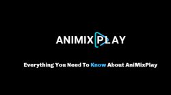 Do You Know about AniMixPlay?