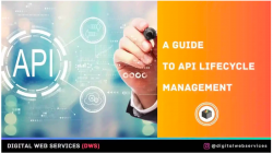 What is API Lifecycle Management?