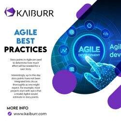 Are You Seeking Help for Agile Best Practices in Your Company? – Visit at Kaiburr