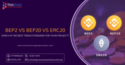 bep20 vs erc20 | bep2 vs erc20 | erc20 vs bep2 | erc20 vs bsc | erc20 vs bep20 | bep20 to erc20  ...