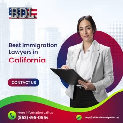 Need to meet expert immigration lawyers in California? Contact Brian D. Lerner