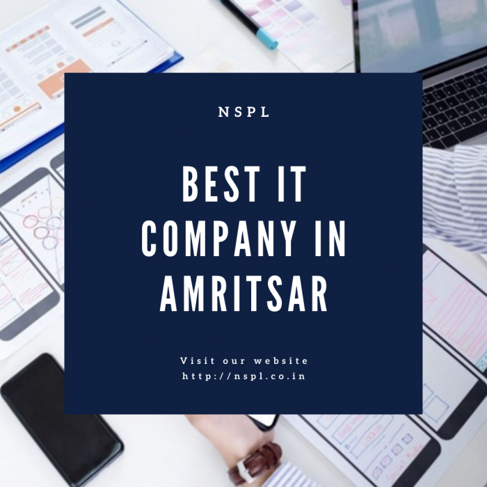 Best IT Company in Amritsar | Global IT Services