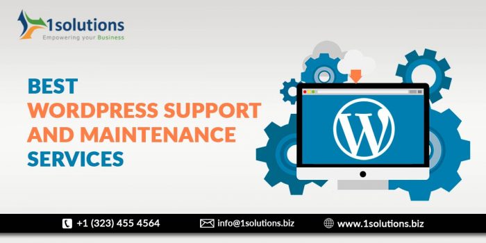 Best wordpress support and maintenance services