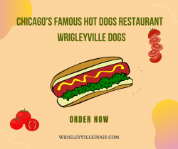 Chicago’s Famous Hot Dogs Restaurant
