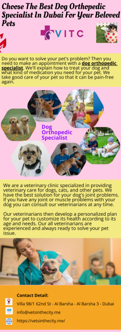 Choose The Best Dog Orthopedic Specialist In Dubai For Your Beloved Pets