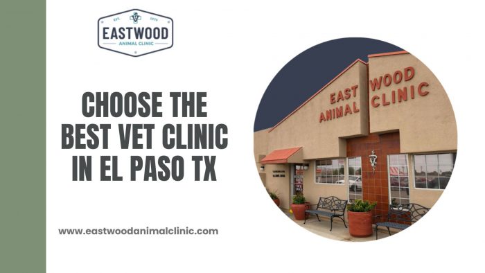 Choose the best Vet Clinic in El Paso TX