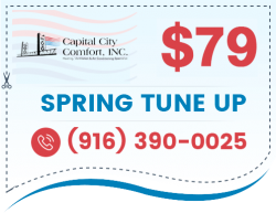 $79 Spring Tune Up
