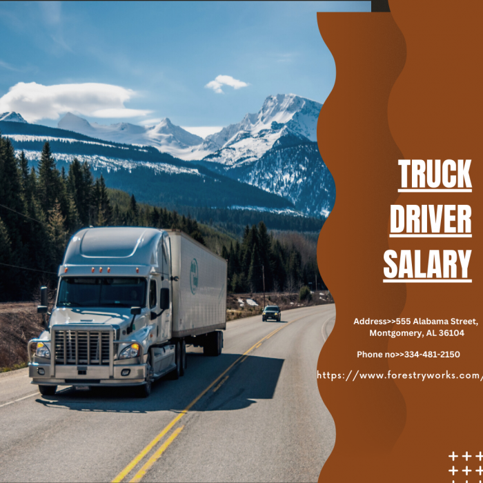 Consider a Career in Truck Driver Salary