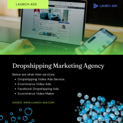 Experienced Dropshipping Marketing Agency