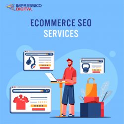 Best Ecommerce SEO Services Company