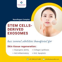 Stem Cells-Derived Exosomes for Skincare and Hair Loss Treatment