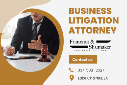 Experienced Litigation Lawyers