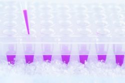 Pipette Tips Low Retention
