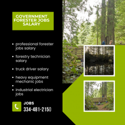 Getting A Best Government Forester Jobs Salary